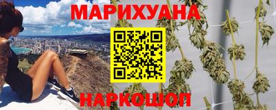 тгк Гусев