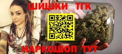 тгк Гусев