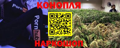 тгк Гусев