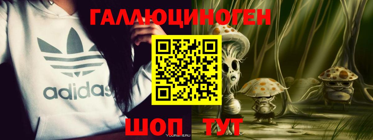 Галлюциногенные грибы MAGIC MUSHROOMS Нижний Новгород